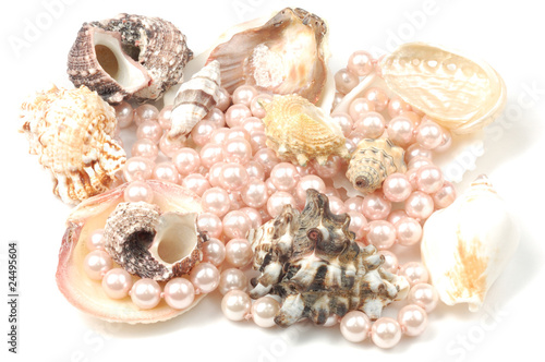 Pearls and sea shells