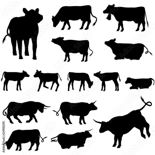 vache taureau et veaux silhouette pack
