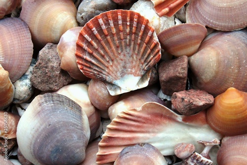 Shells part 2