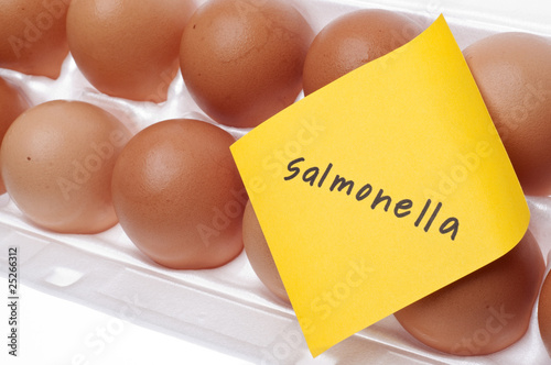 Eggs Can Carry Salmonella Concept