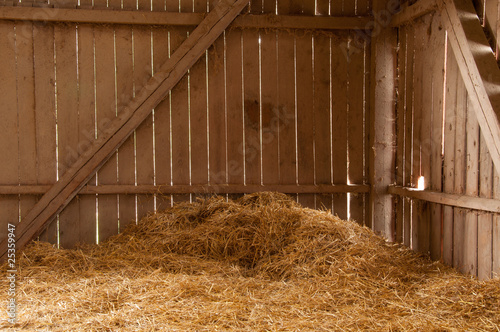 A day in the barn