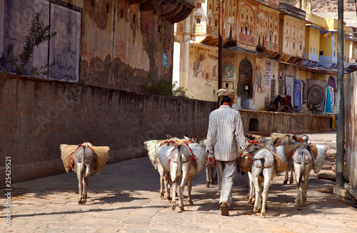 Rajasthan, Shekawati - India