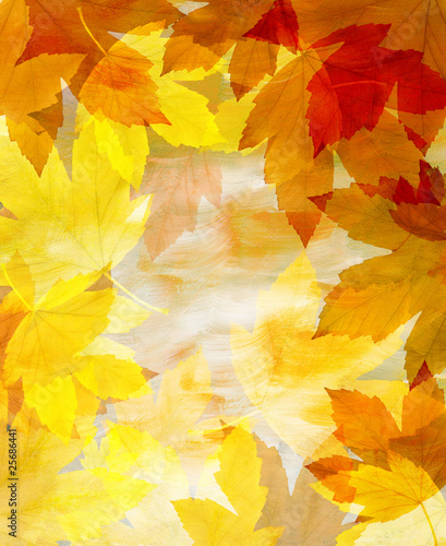 background from autumn leaves