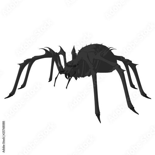 Spider Art Illustration