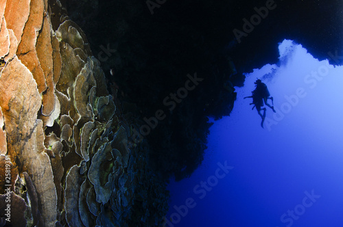 scuba divers in Blue hole