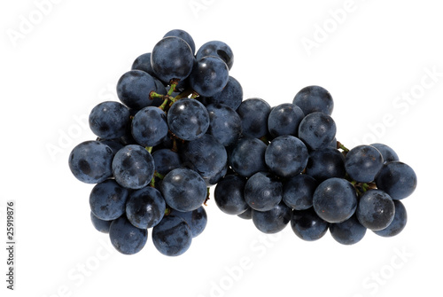 fresh picked concord grapes