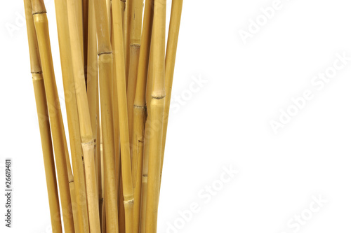 bambo poles