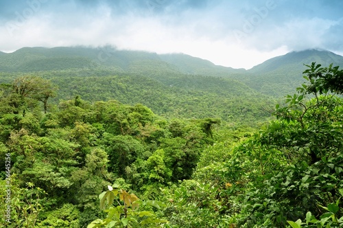 Montañas con selva tropical en Costa Rica