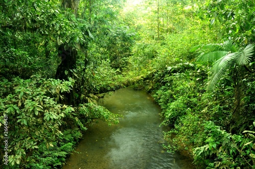 Río por la selva de Costa Rica