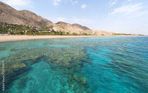 Coral Reef in Eilat