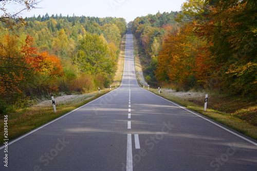 Straße durch den Wald im Herbst