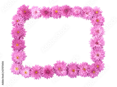 frame made of chrysanthemum flowers