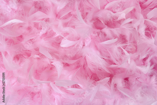 Small pink feathers in pile | Texture