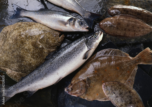 Assortiment de poissons