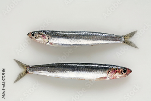Deux anchois