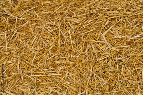 Straw texture