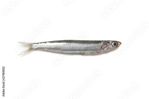 anchoa fresca