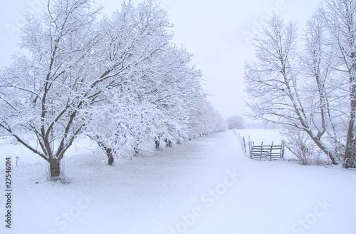 chemin de neige