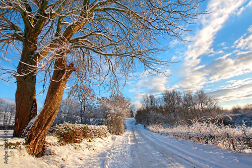 Winter in Scotland
