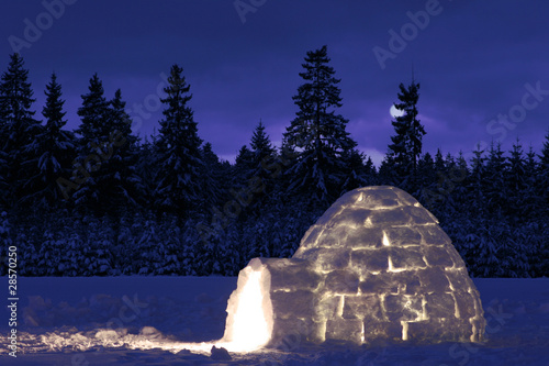 Iglu