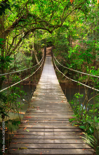 Most do dżungli, park narodowy Khao Yai, Tajlandia