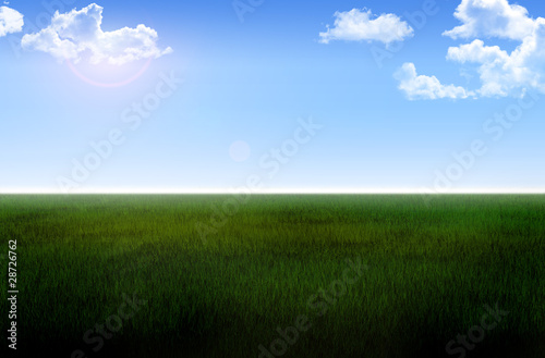 krajobraz łąka