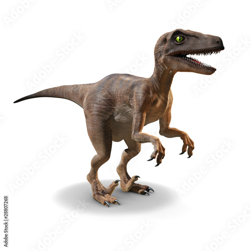 3d Velociraptor