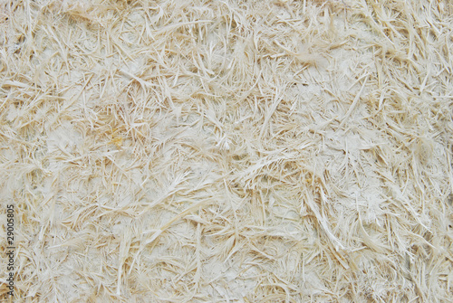 paper pulp