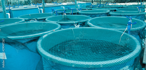 Agriculture aquaculture farm