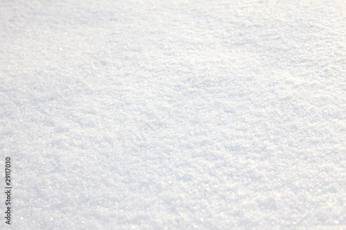 Snow and snowflakes texture