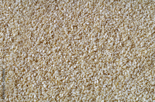 Sesame Seed background