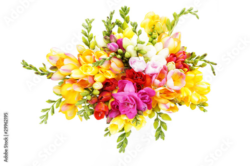 lovely freesia