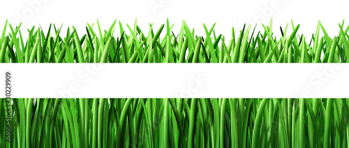 cut Grass green lawn landscaper isolated on white