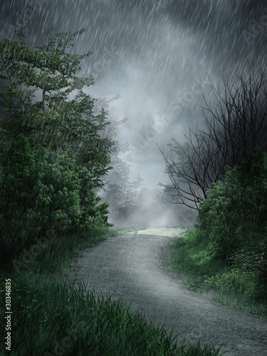 Wiejska droga w deszczu