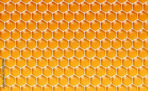Alvéoles de miel 1