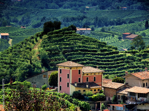 colline del prosecco in provincia di treviso