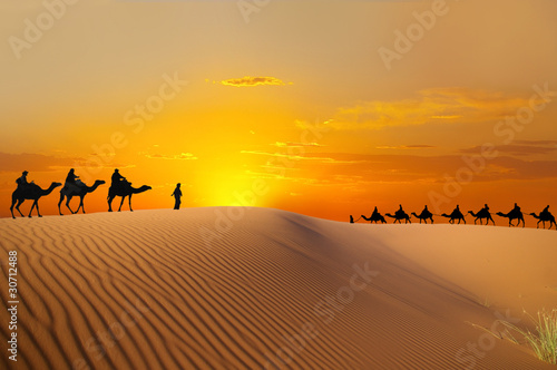 Travel with camel