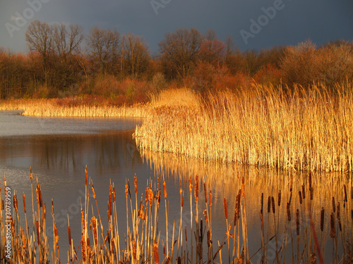 Marsh Before a Storm in Pennsylvania