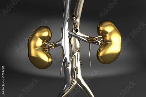 Metallic Kidney 3