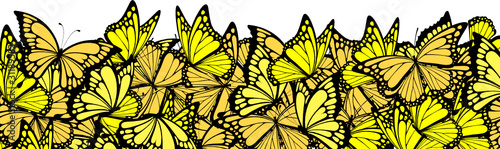 butterflies border