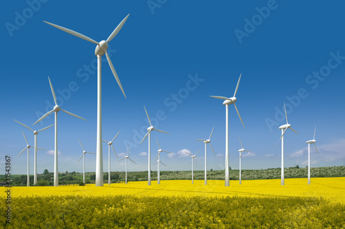 Windkrafträder in einem Rapsfeld