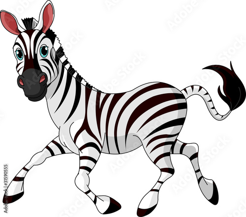 Funny running Zebra