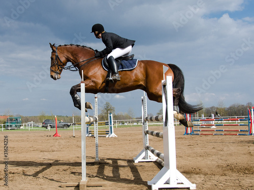 Horse show jump