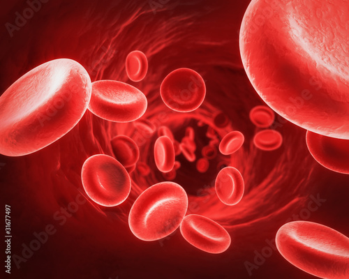 Red Blood Cells