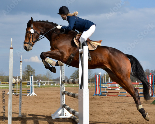 Horse show jump