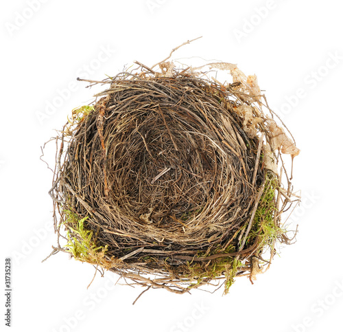 Detail of blackbird nest isolated on white