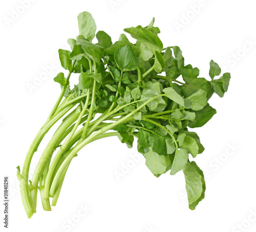 Watercress