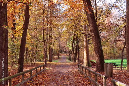 Sentiero del parco di Monza