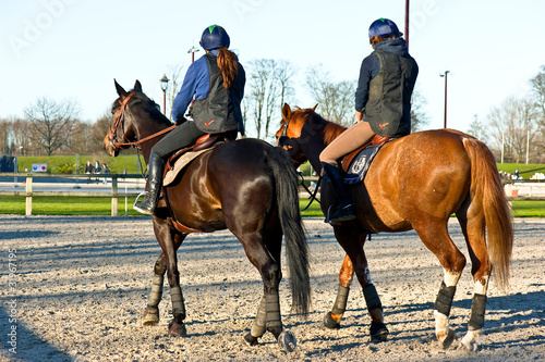 equitation - les protections du cheval et du cavalier