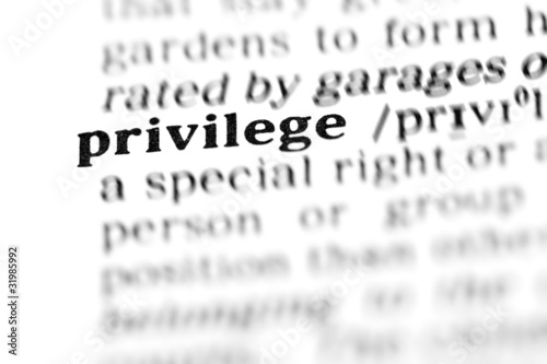 privilege (the dictionary project)